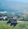 Xenia & Wolfgang: photo №11